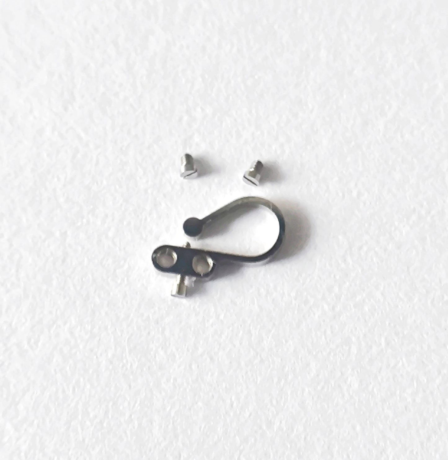 Omega regulator adjusting spring 563-1356 with screws caliber 563 564 565 macro detail